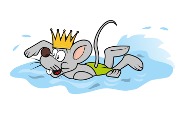 Groenhovenbad en accommodaties gesloten met Koningsdag