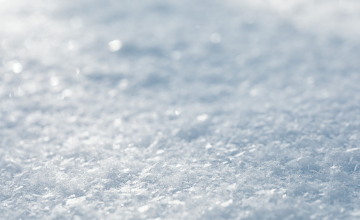 Afgelaste activiteiten door sneeuwval