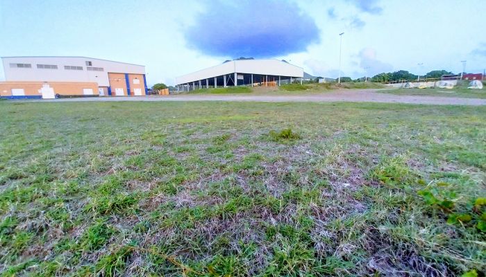 SPORT•GOUDA support St. Eustatius with knowledge and expertise
